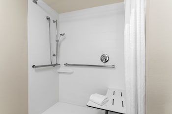 Standard Room, 1 King Bed, Accessible (Mobility, Roll-In Shower)