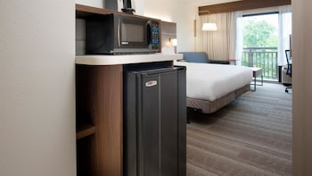 Standard Room, 1 King Bed (Walk-In Shower)