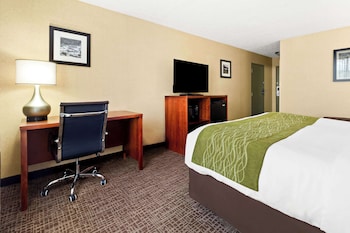 Standard Room, 1 King Bed, Non Smoking