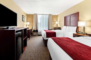 Standard Room, 2 Double Beds, Non Smoking