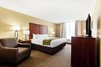 Standard Room, 1 King Bed, Non Smoking