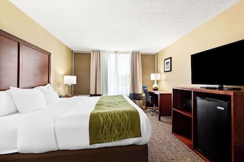 Standard Room, 1 King Bed, Non Smoking