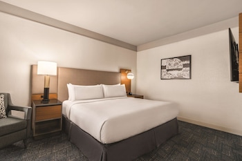 Suite, 1 King Bed, Accessible (Roll-In Shower)