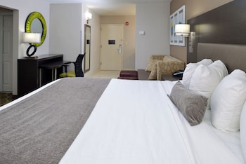 Standard Room, 1 King Bed, Non Smoking, Refrigerator & Microwave (Larger Room;with Sofabed)
