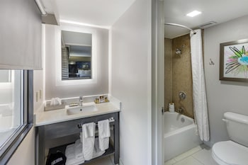Standard Room, 1 King Bed, Accessible, Bathtub (Larger Room;with Sofabed)