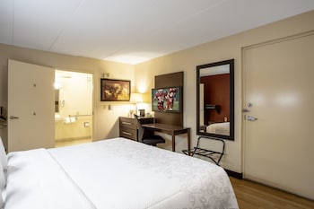 Standard Room, 1 King Bed, Accessible (Roll-In Shower, Smoke Free)