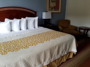 Room, 1 King Bed, Non Smoking