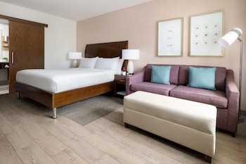 Comfort Room, 1 King Bed with Sofa bed