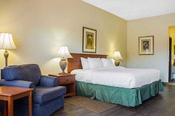 Standard Room, 1 King Bed, Non Smoking