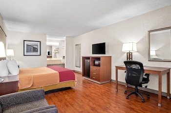 Room, 1 King Bed, Smoking
