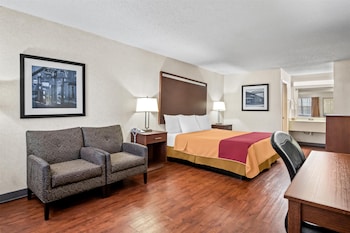 Room, 1 King Bed, Smoking