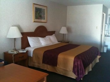 Room, 1 King Bed, Smoking