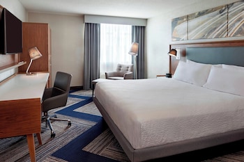 Room, 1 King Bed