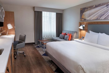 Studio, 1 King Bed with Sofa bed