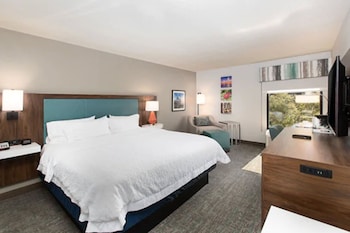 Room, 1 King Bed, Non Smoking