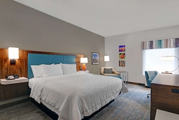 Room, 1 King Bed with Sofa bed, Non Smoking