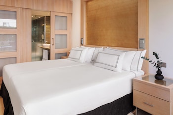 Melia Room with Terrace