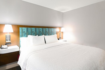 Classic Room, 1 King Bed with Sofa bed