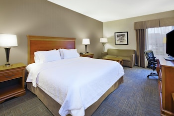 Classic Room, 1 King Bed with Sofa bed