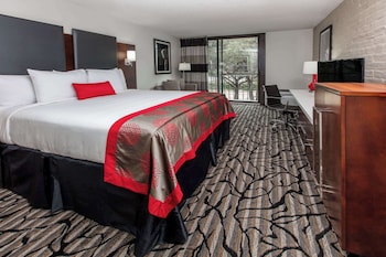 Room, 1 King Bed, Non Smoking, Balcony (Private)
