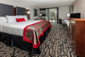 Room, 1 King Bed, Non Smoking, Balcony (Private)