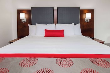 Room, 1 King Bed, Mobility Accessible, Non Smoking (Private Balcony)