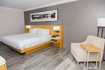 Room, 1 King Bed