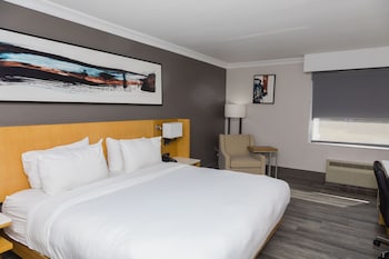Room, 1 King Bed