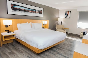 Room, 1 King Bed
