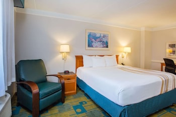 Room, 1 King Bed, Non Smoking