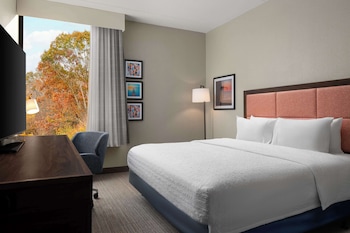 Room, 1 King Bed, Accessible (Roll-In Shower)