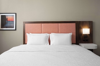Room, 1 King Bed, Accessible (Roll-In Shower)