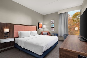 Room, 1 King Bed, Accessible (Roll-In Shower)