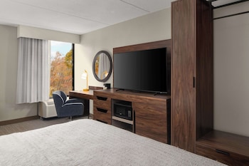 Room, 1 King Bed, Accessible, Bathtub