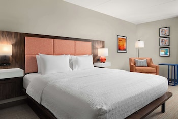 Room, 1 King Bed, Accessible (Roll-In Shower)