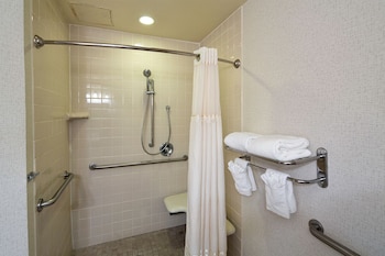 1 King Bed, Roll-In Shower, Accessible