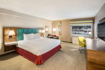 Room, 1 King Bed, Accessible, Bathtub (Mobility & Hearing)