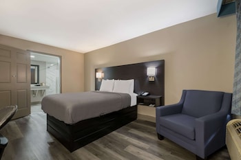 Room, 1 King Bed, Accessible, Smoking