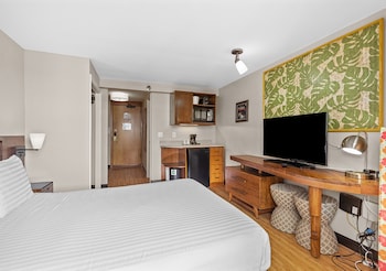 Standard Room, City View