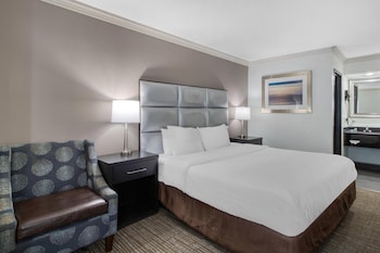 Standard Room, 1 King Bed, Non Smoking, Refrigerator & Microwave