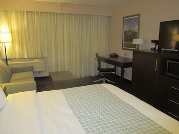 Standard Room, 1 King Bed, Non Smoking, Refrigerator & Microwave (with Sofabed)