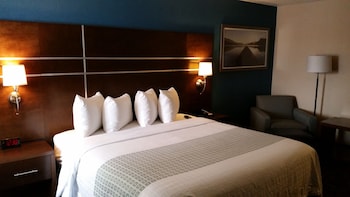 Standard Room, 1 King Bed, Non Smoking, Refrigerator & Microwave (with Sofabed)