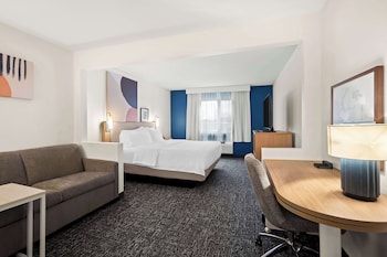 Room, 1 King Bed with Sofa bed