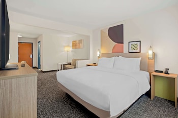 Room, 1 King Bed with Sofa bed