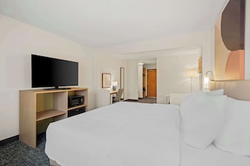 Room, 1 King Bed with Sofa bed
