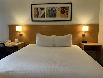 Standard Room, 1 King Bed, Non Smoking, Refrigerator & Microwave