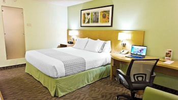 Standard Room, 1 King Bed, Accessible, Bathtub
