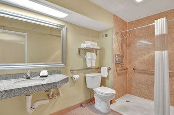 Standard Room, 1 Queen Bed, Accessible, Non Smoking