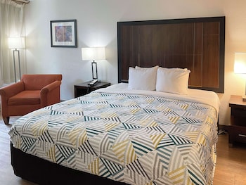 Standard Room, 1 King Bed, Non Smoking