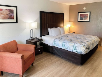 Standard Room, 1 King Bed, Non Smoking